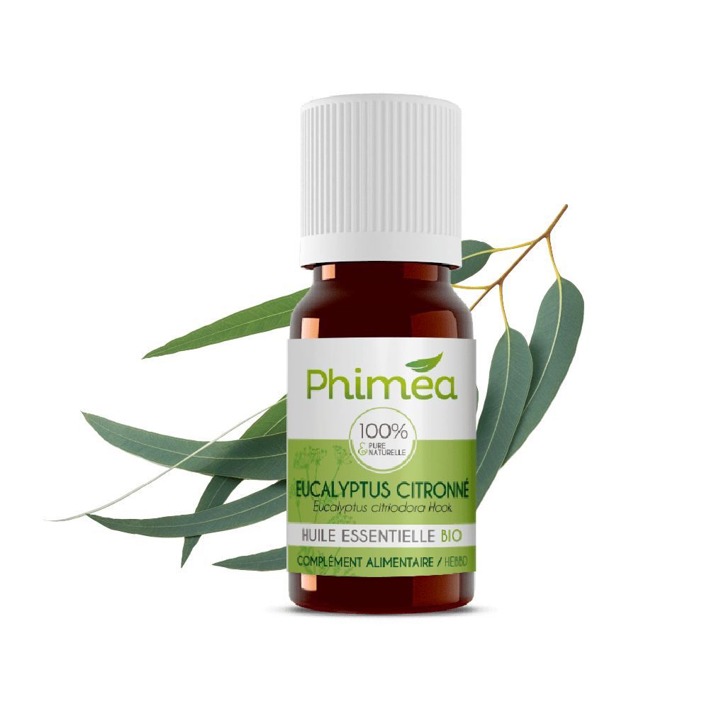 Flacon huile essentielle d'eucalyptus citronné avec feuilles en arrière plan