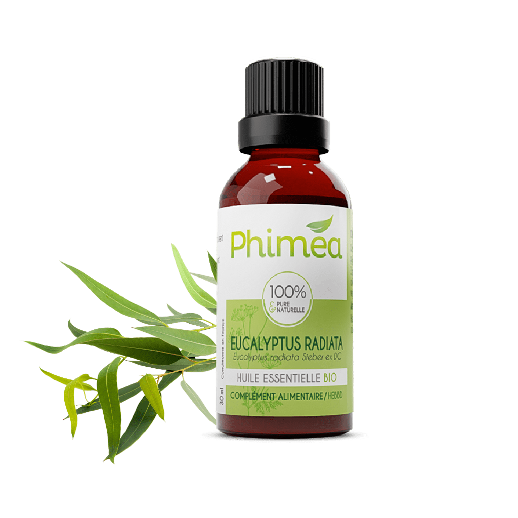 Flacon huile essentielle d'eucalyptus radiata de 30 ml avec feuilles en arrière