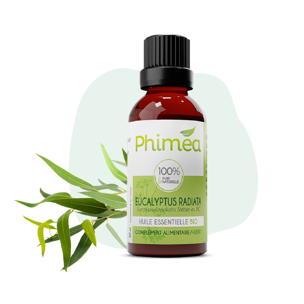 Flacon huile essentielle d'eucalyptus radiata de 30 ml avec feuilles en arrière plan sur fond vert
